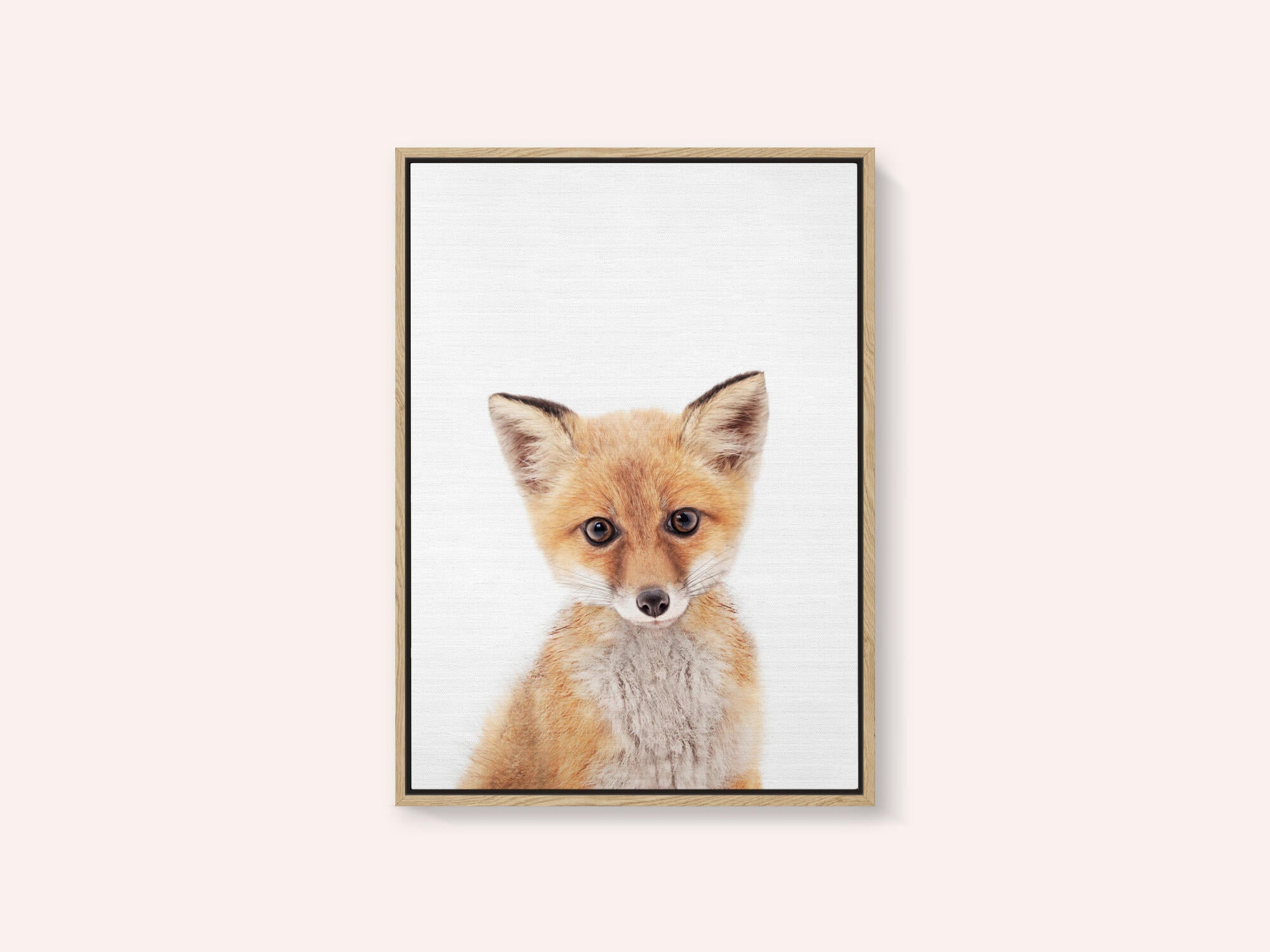 Baby Fox