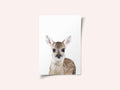 Baby Deer