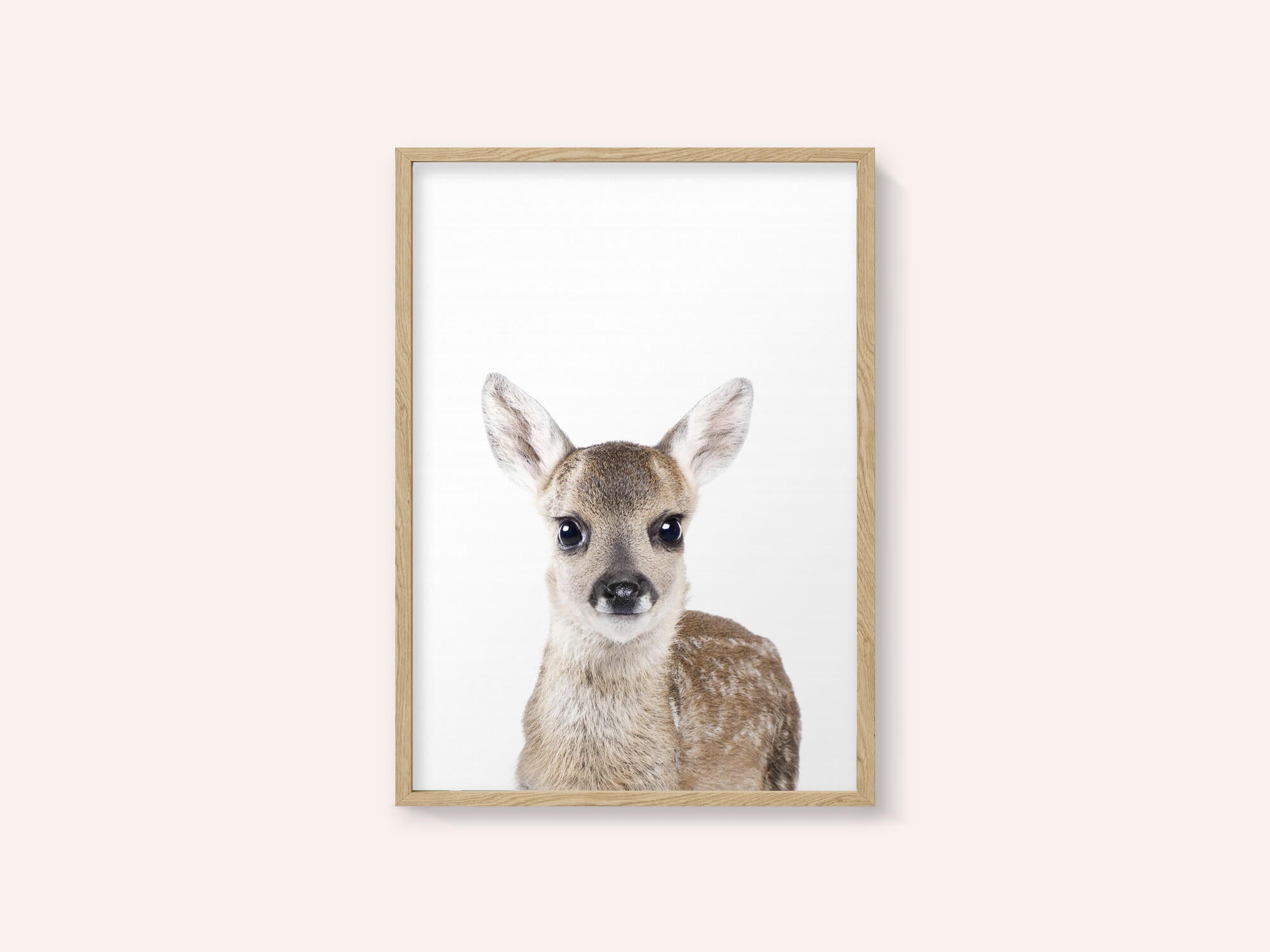 Baby Deer