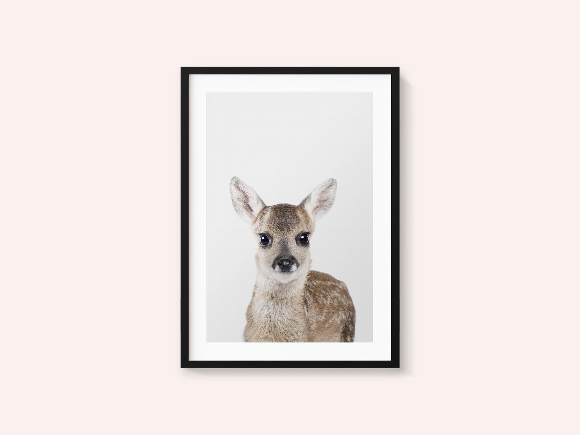 Baby Deer