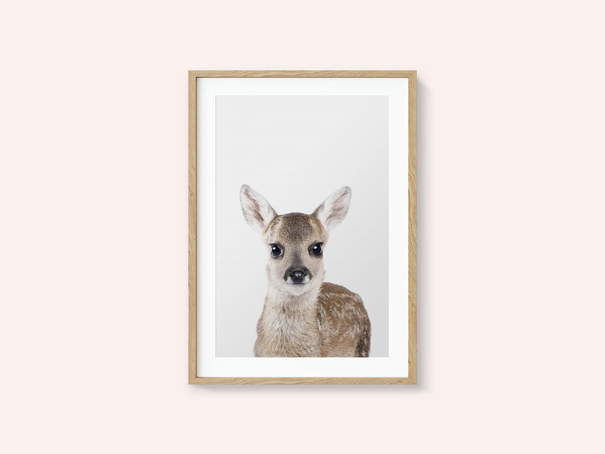 Baby Deer