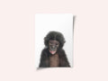 Baby Monkey