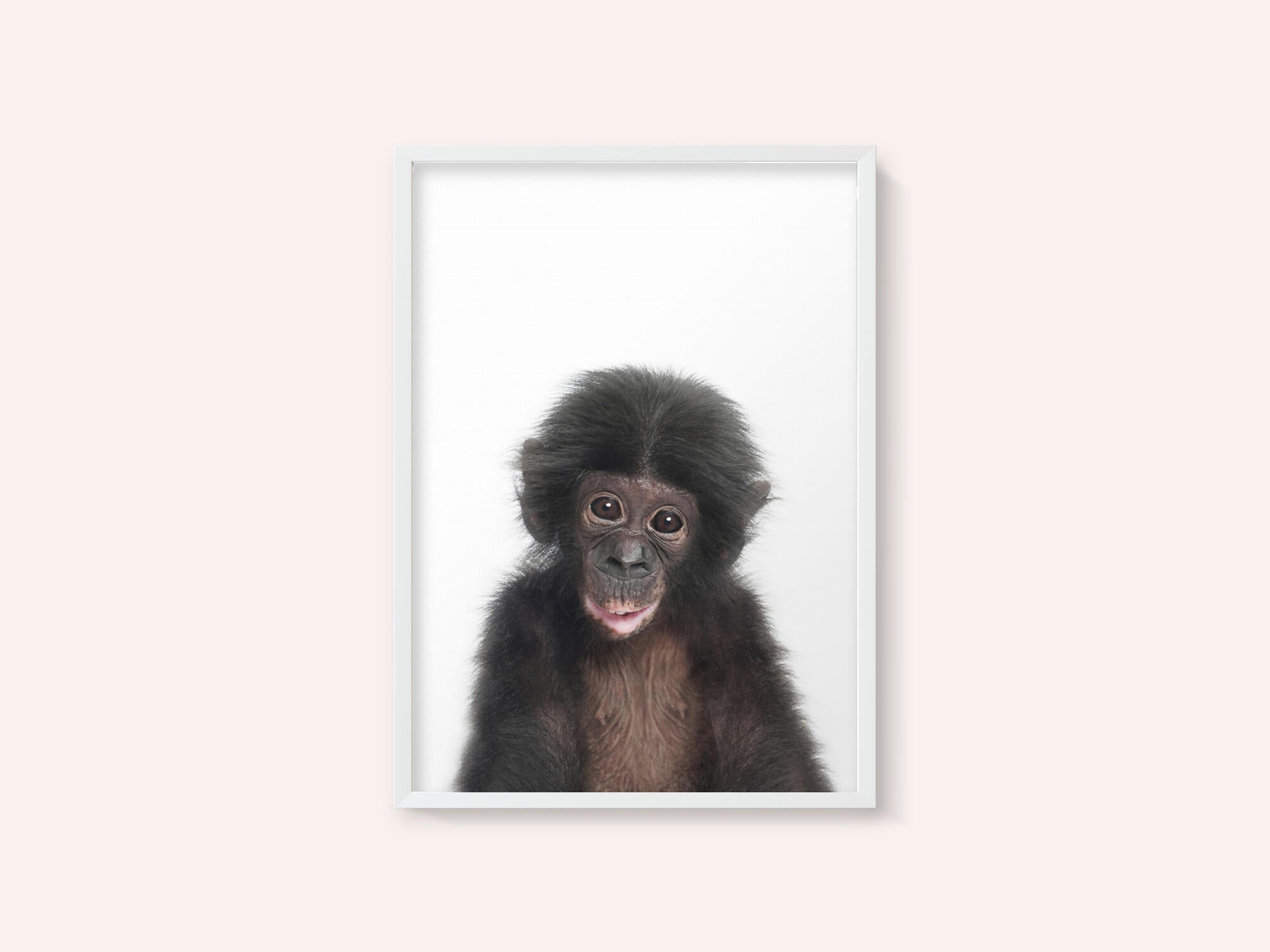 Baby Monkey