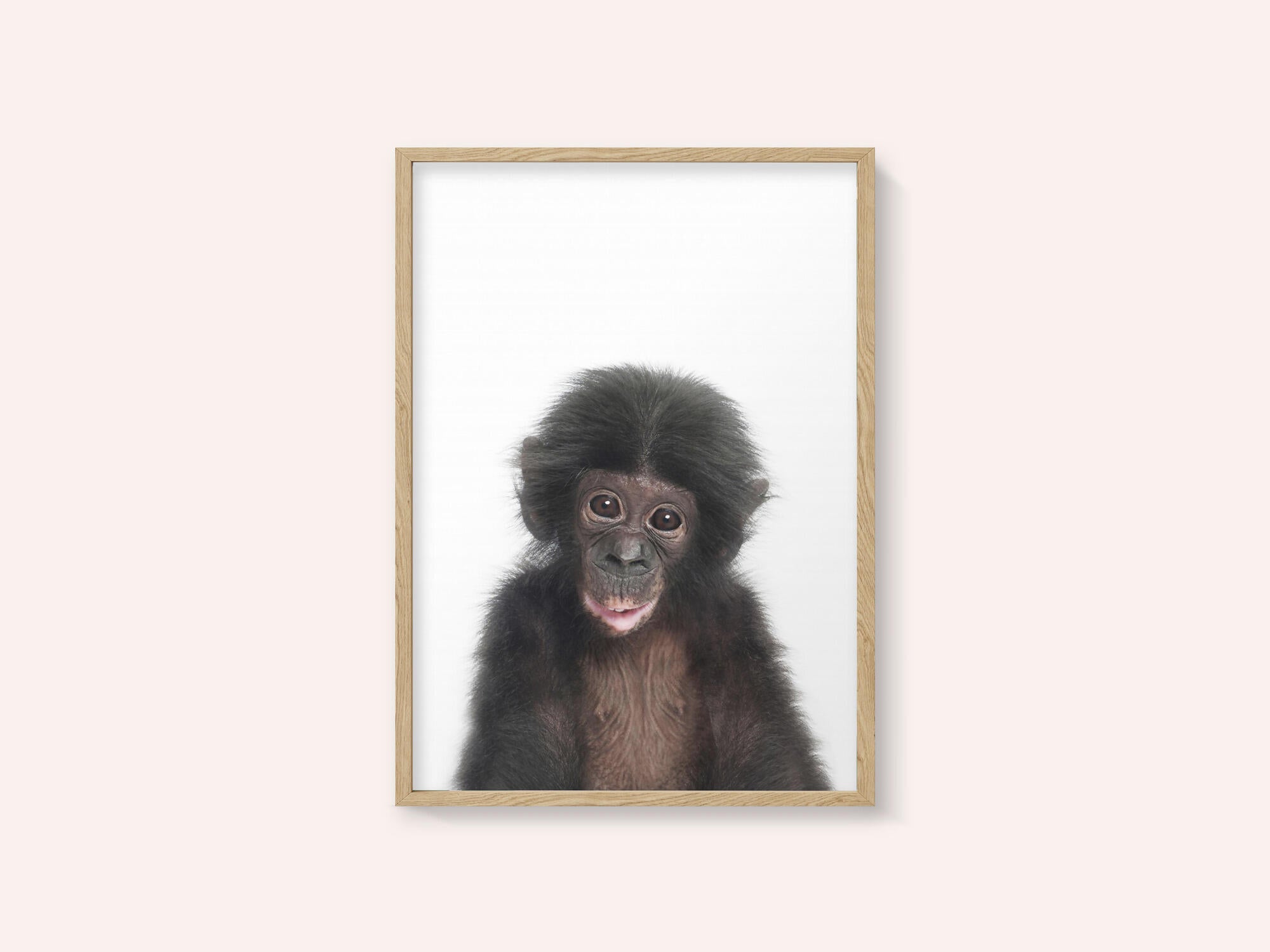 Baby Monkey