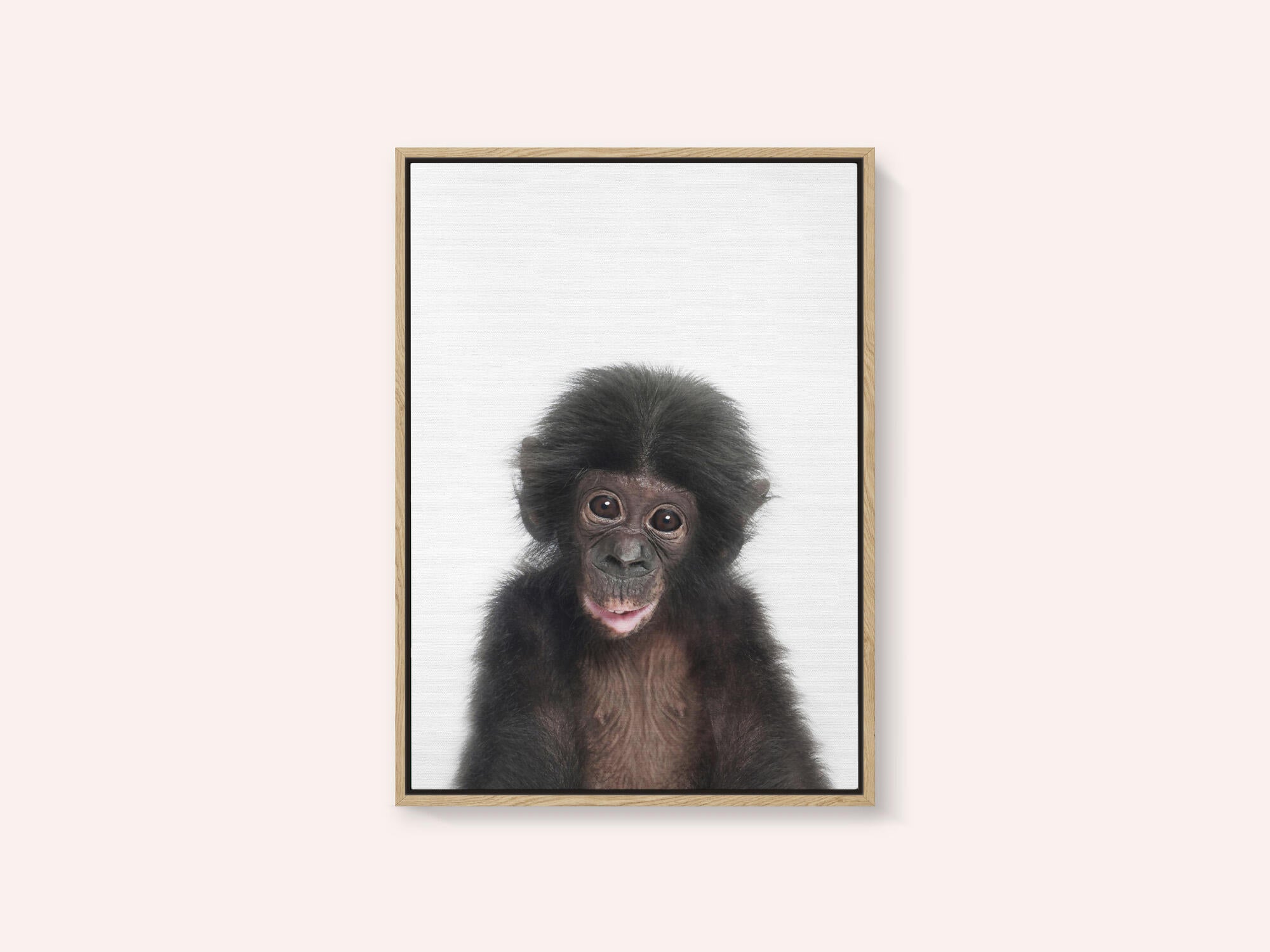 Baby Monkey