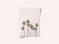 Blush Palms