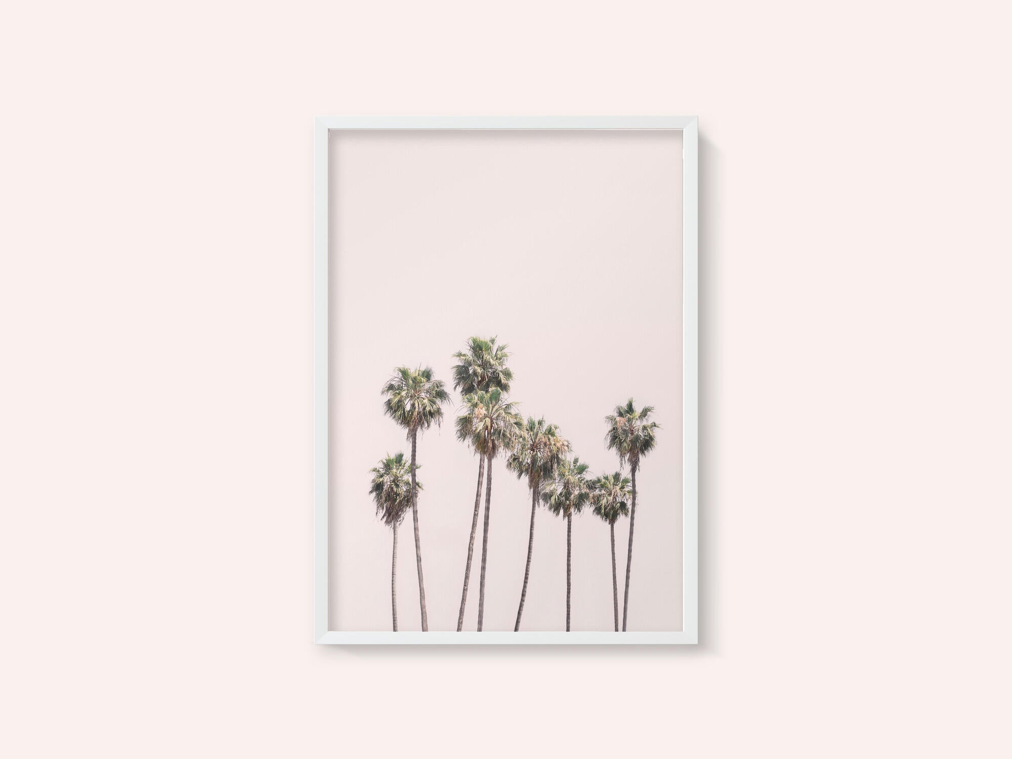 Blush Palms