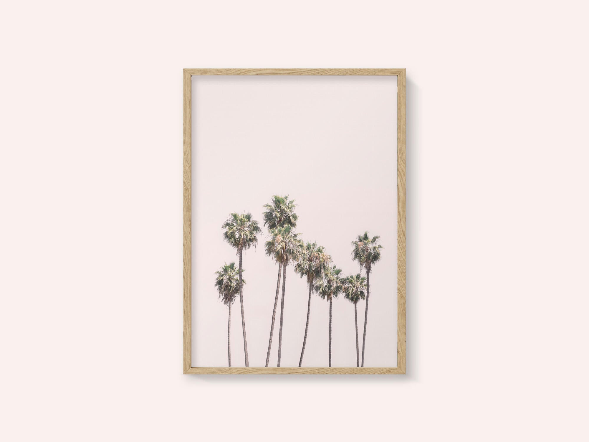 Blush Palms