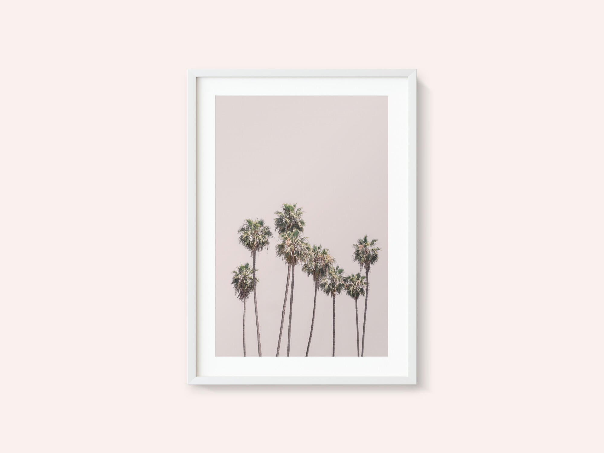 Blush Palms