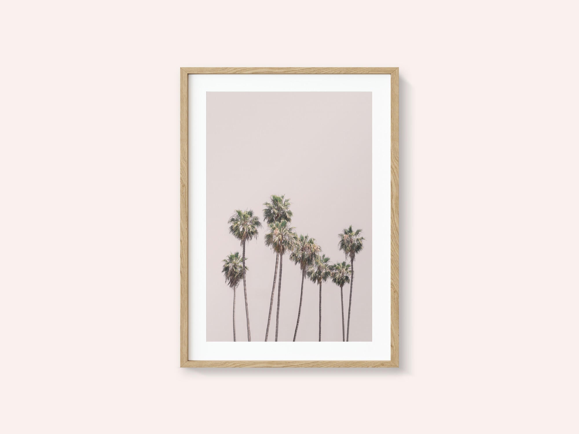 Blush Palms