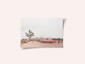 In the desert