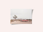 In the desert