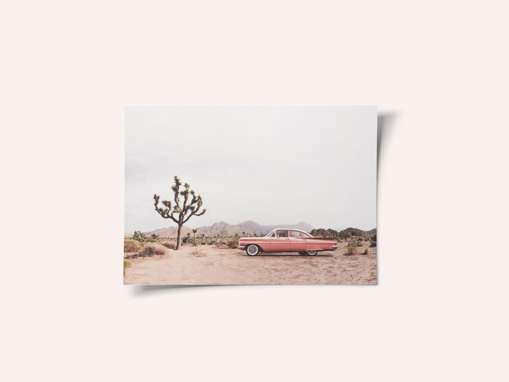 In the desert