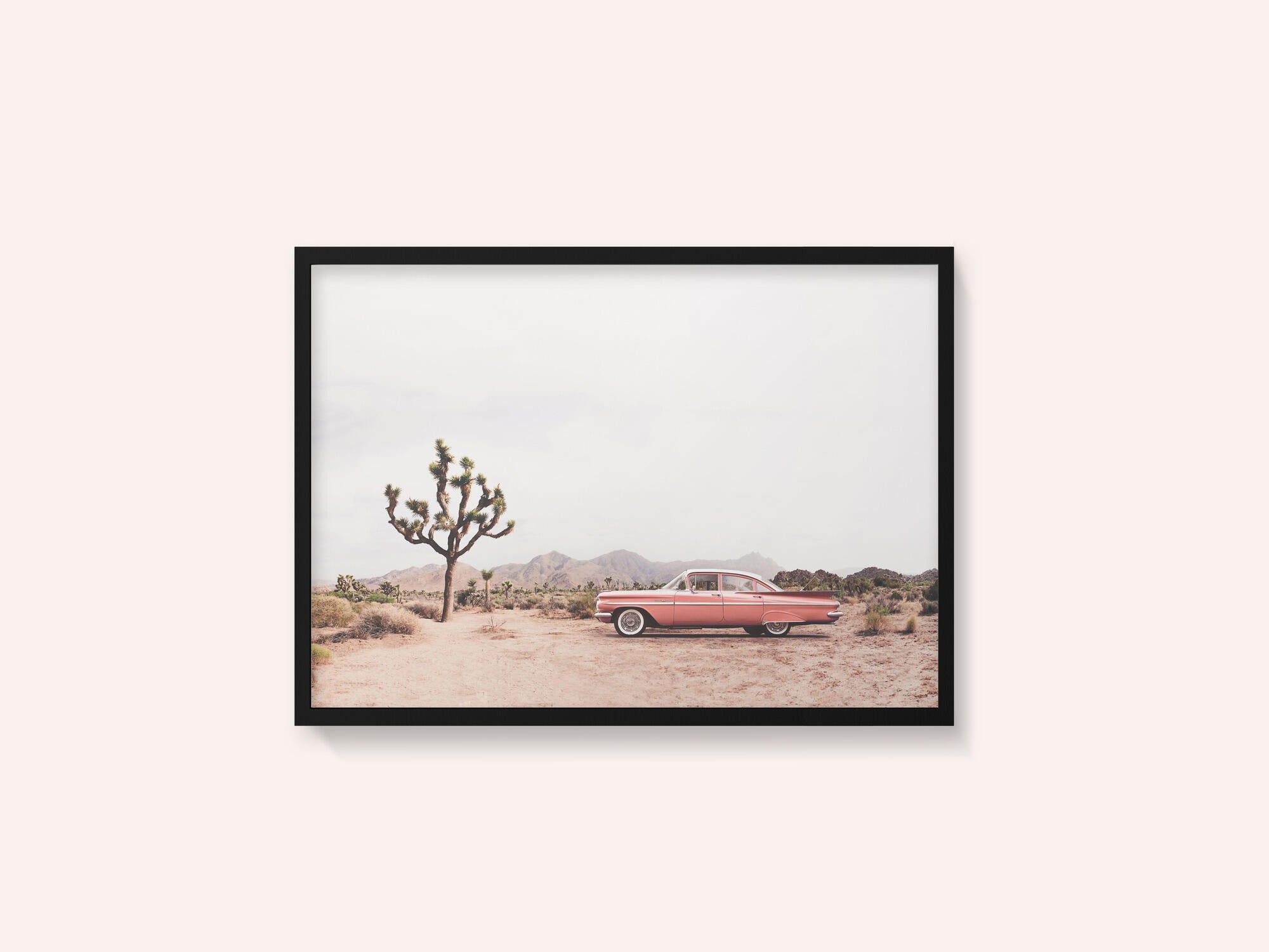 In the desert