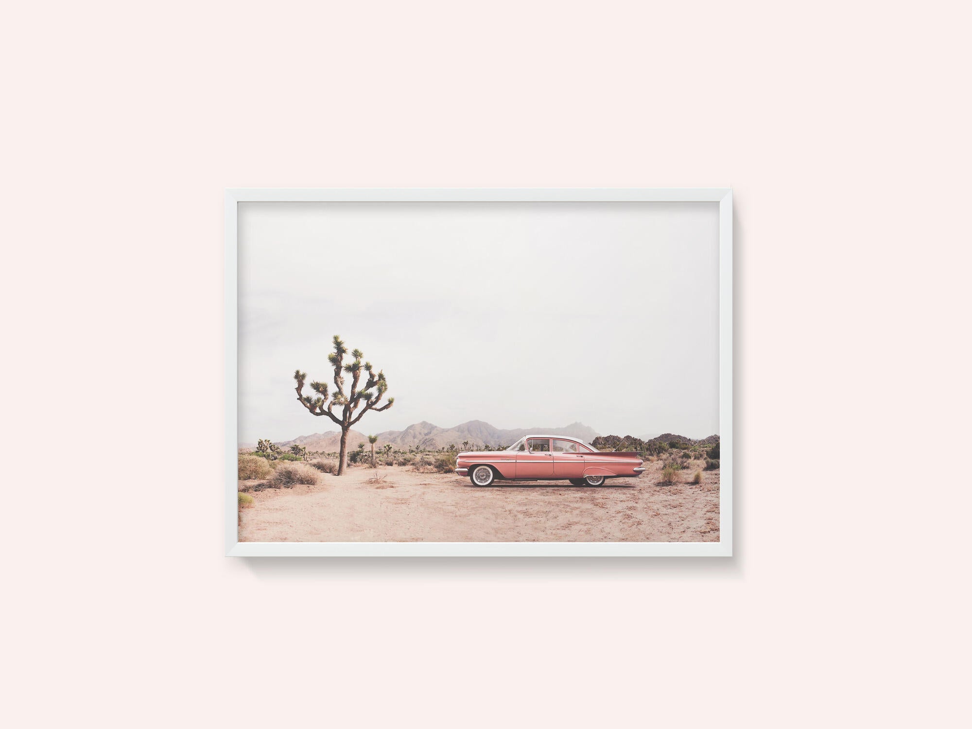 In the desert