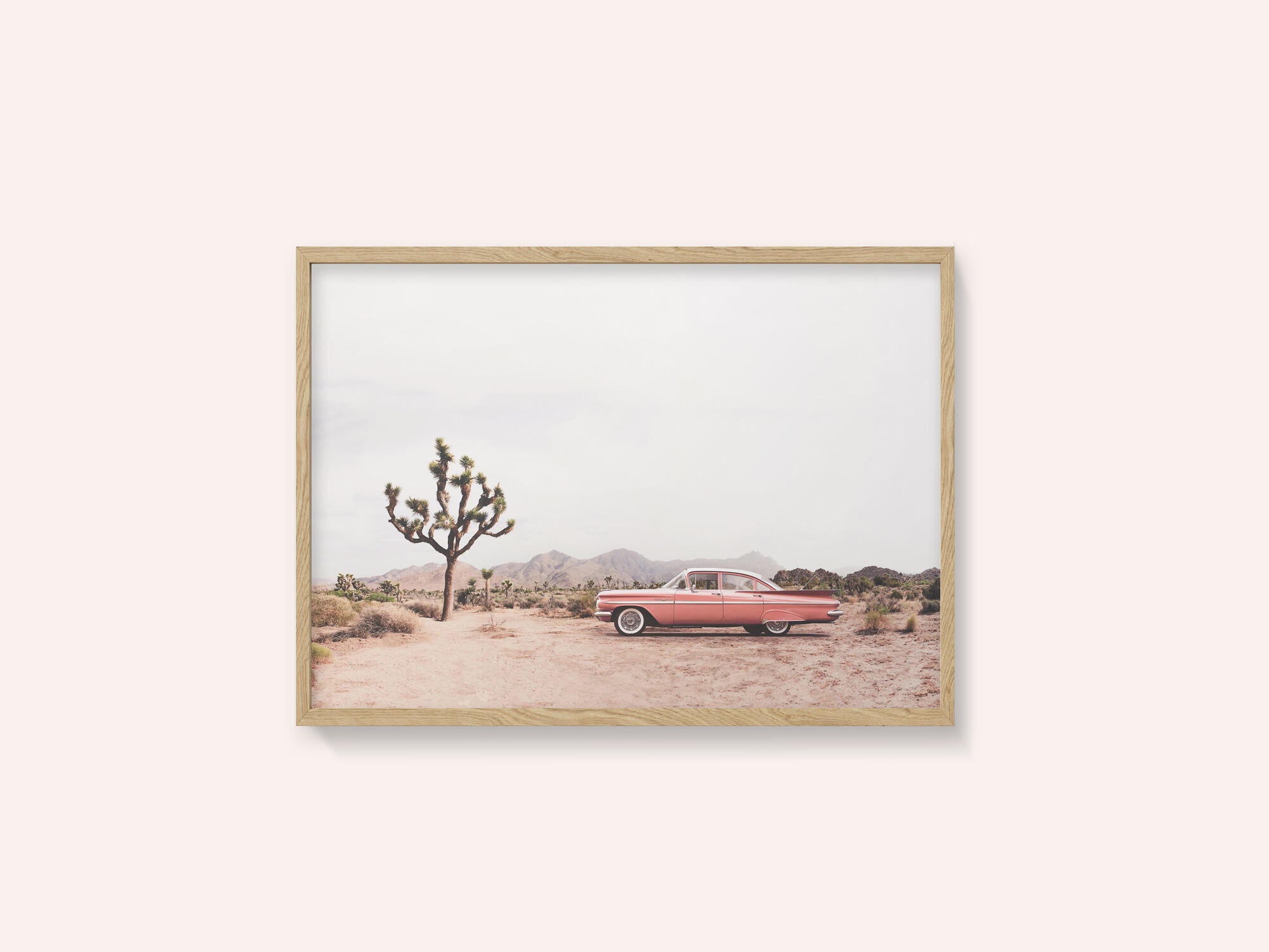 In the desert