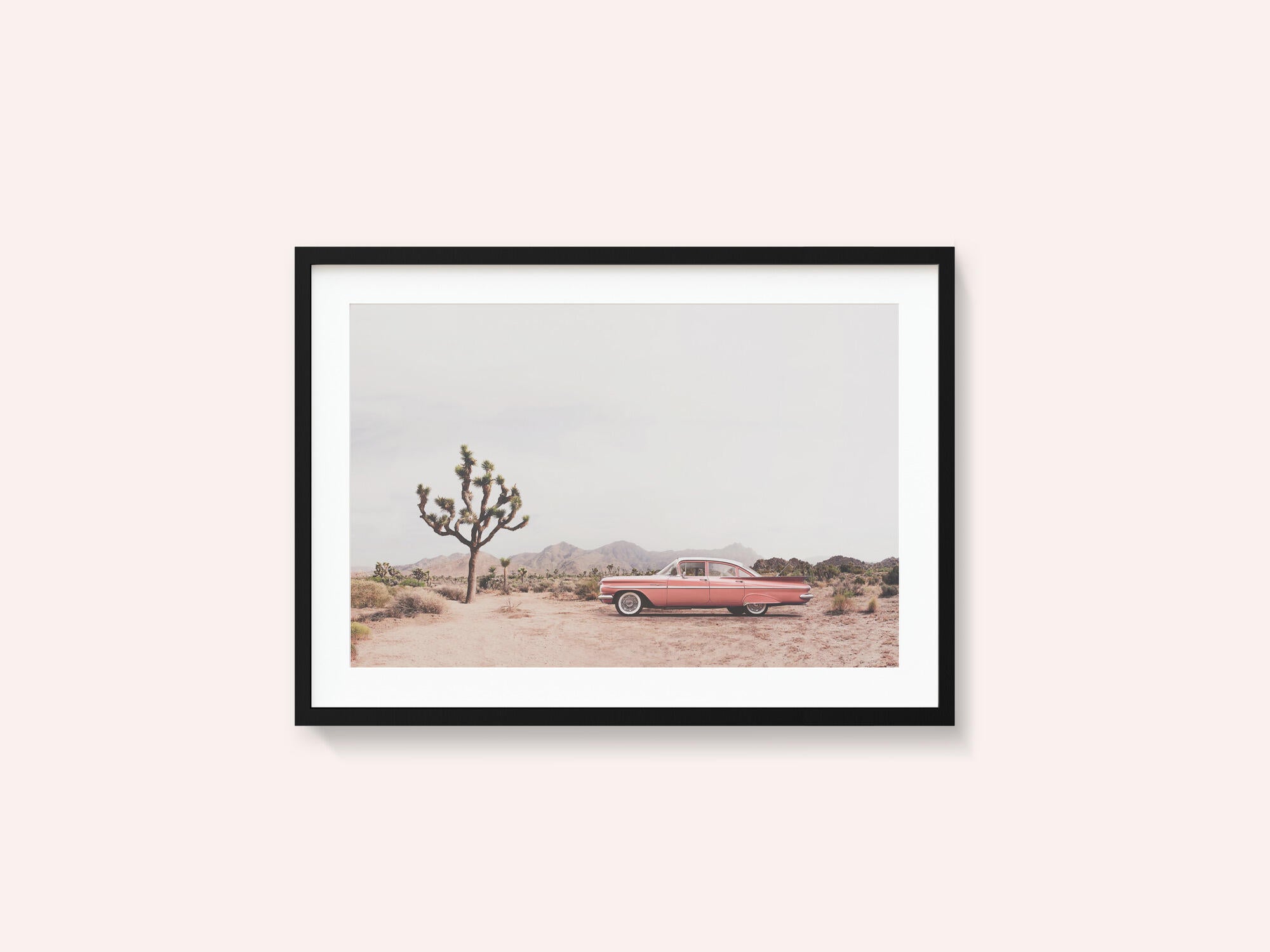 In the desert