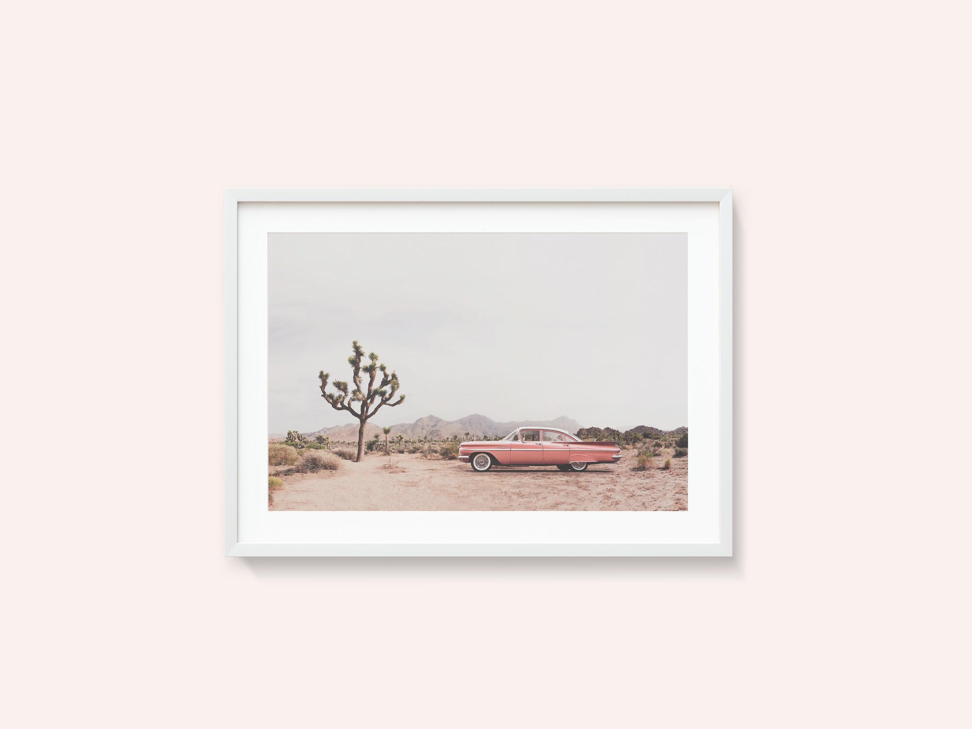 In the desert