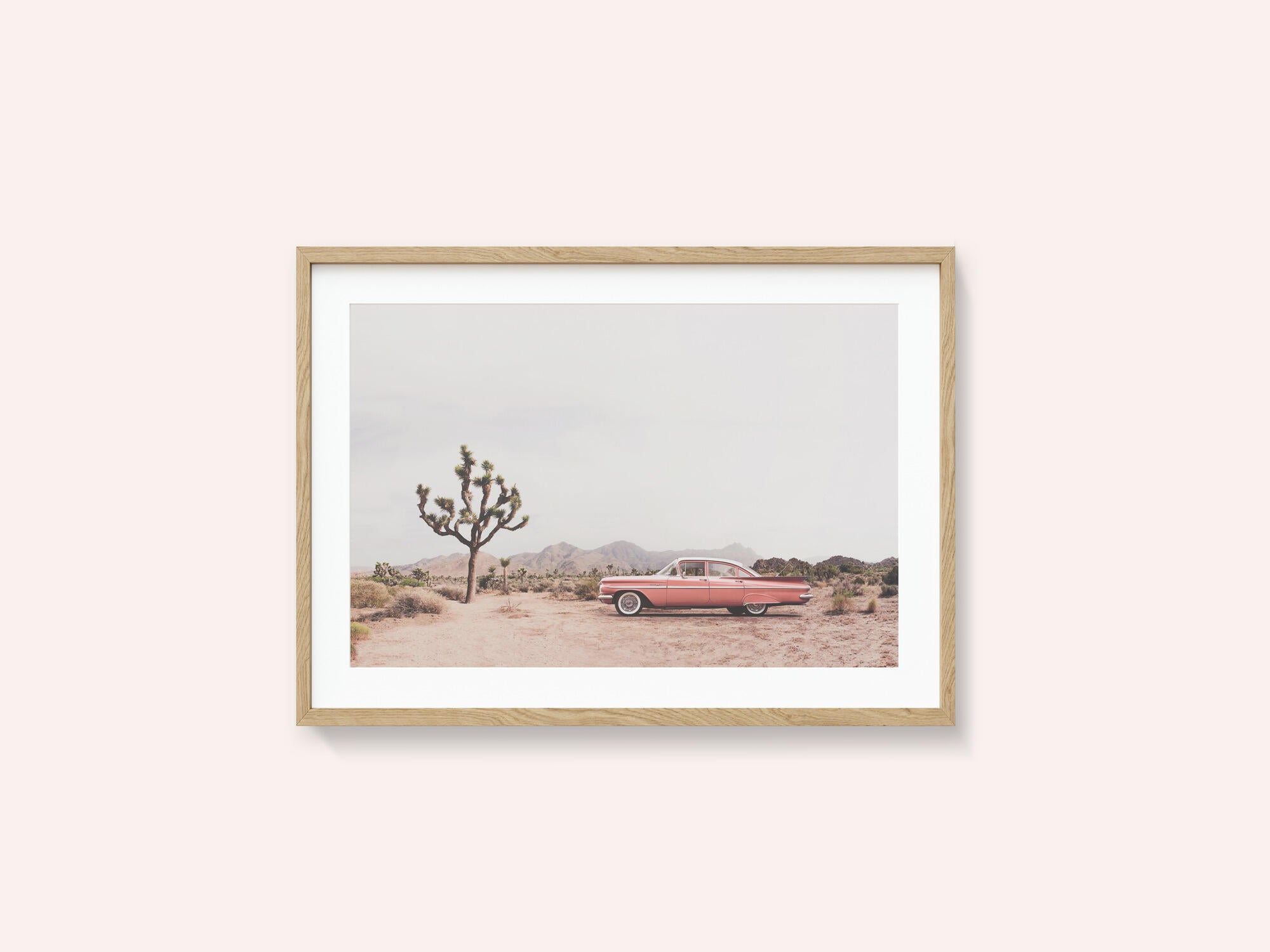 In the desert