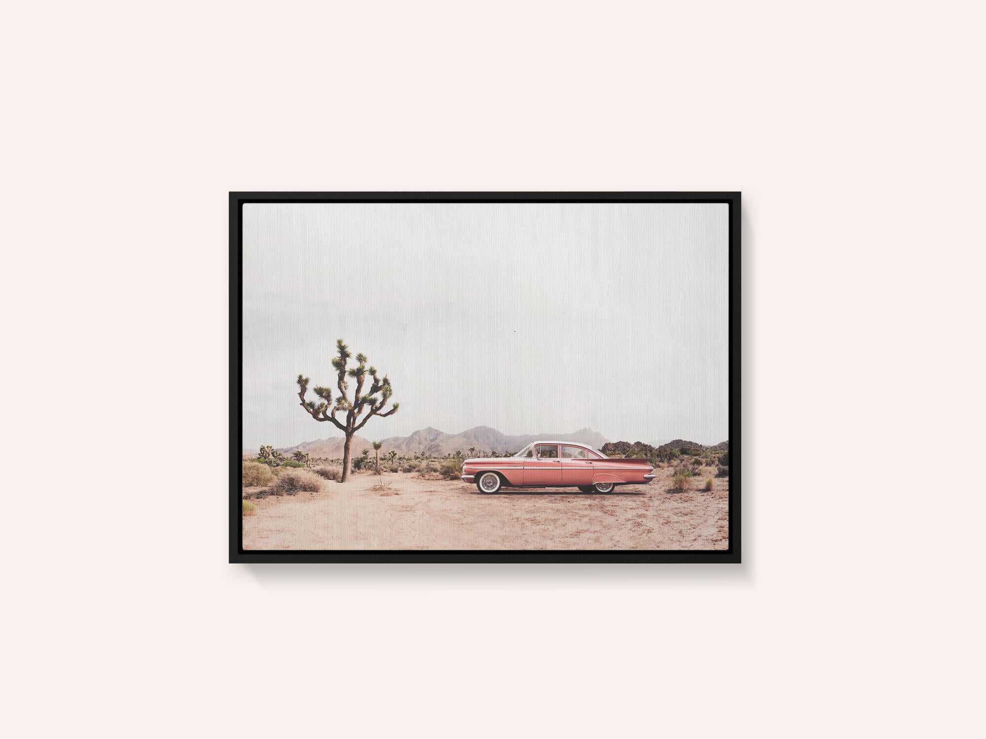 In the desert