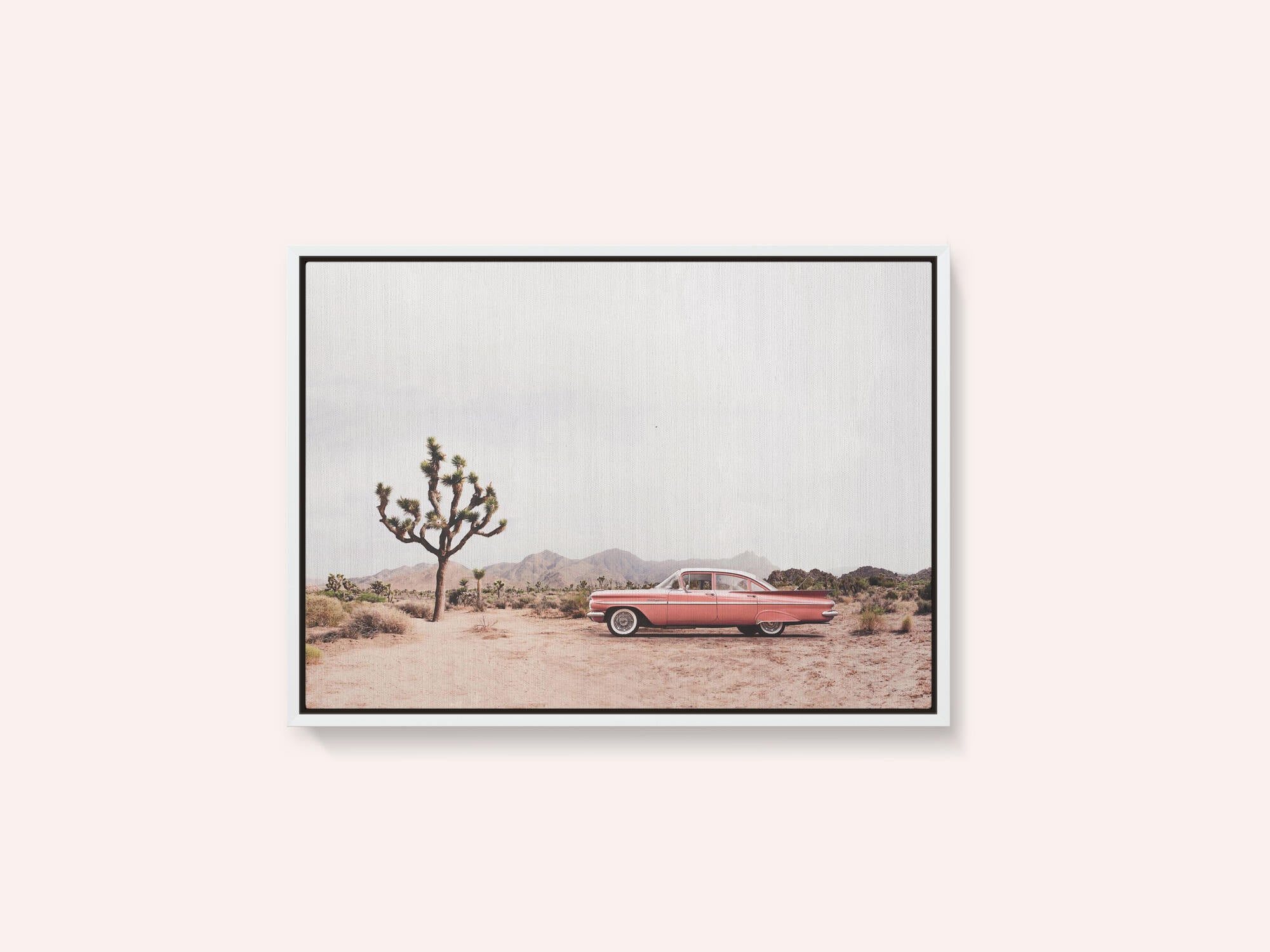 In the desert