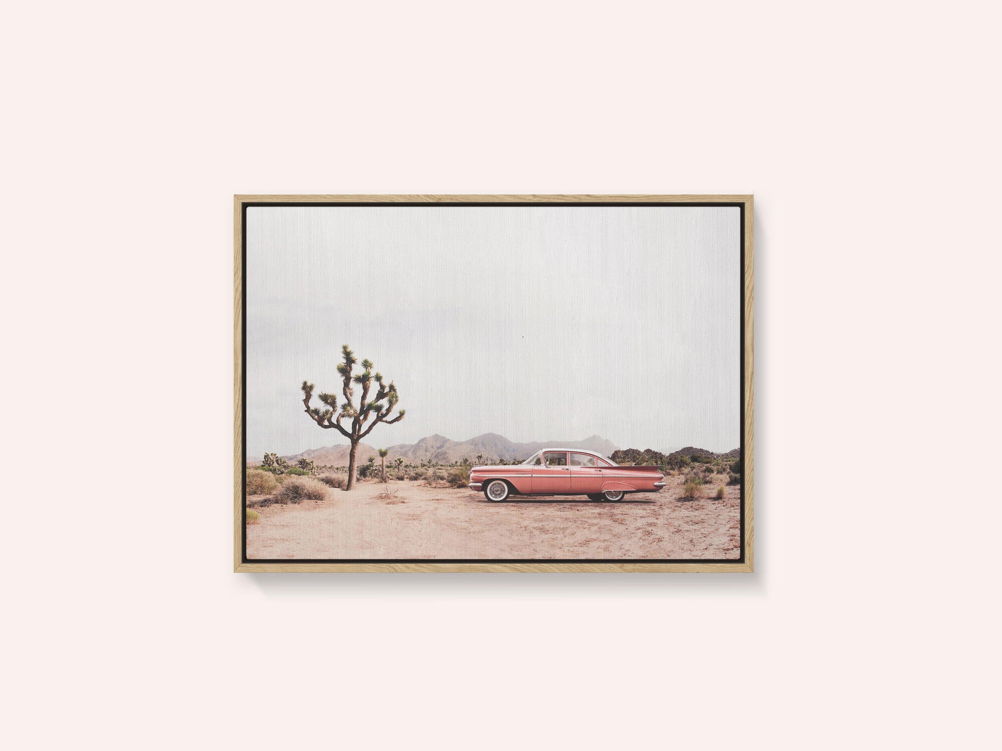 In the desert