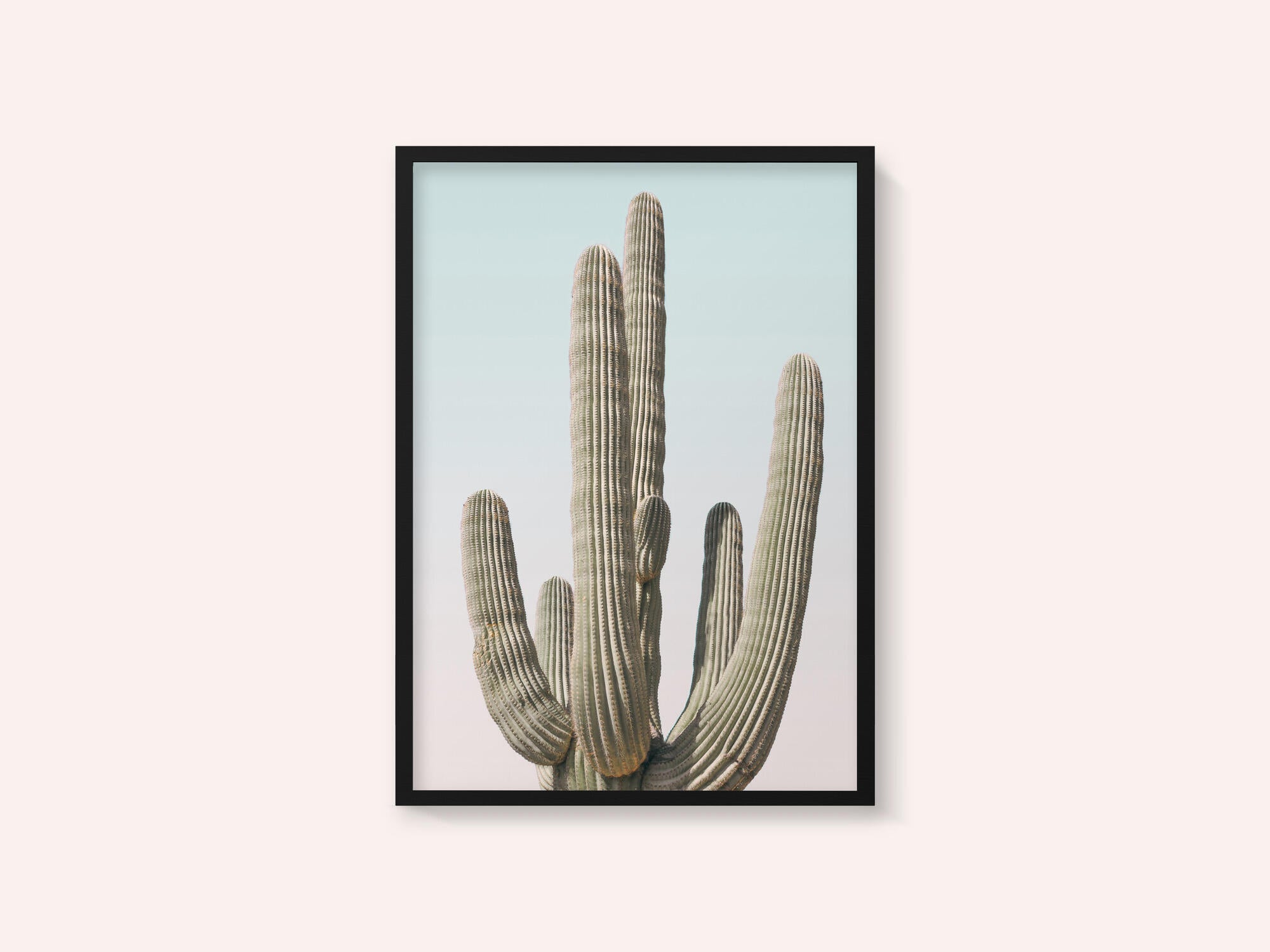 Saguaro