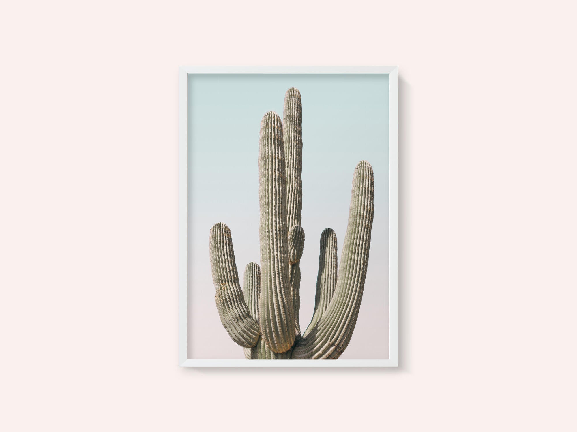 Saguaro