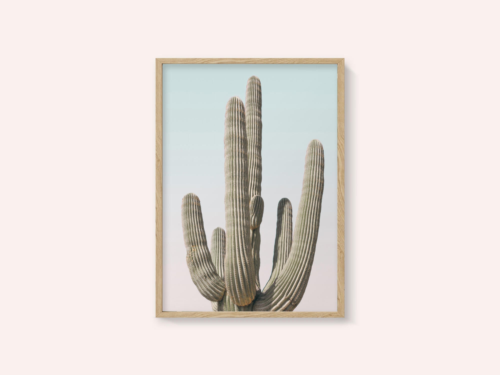 Saguaro