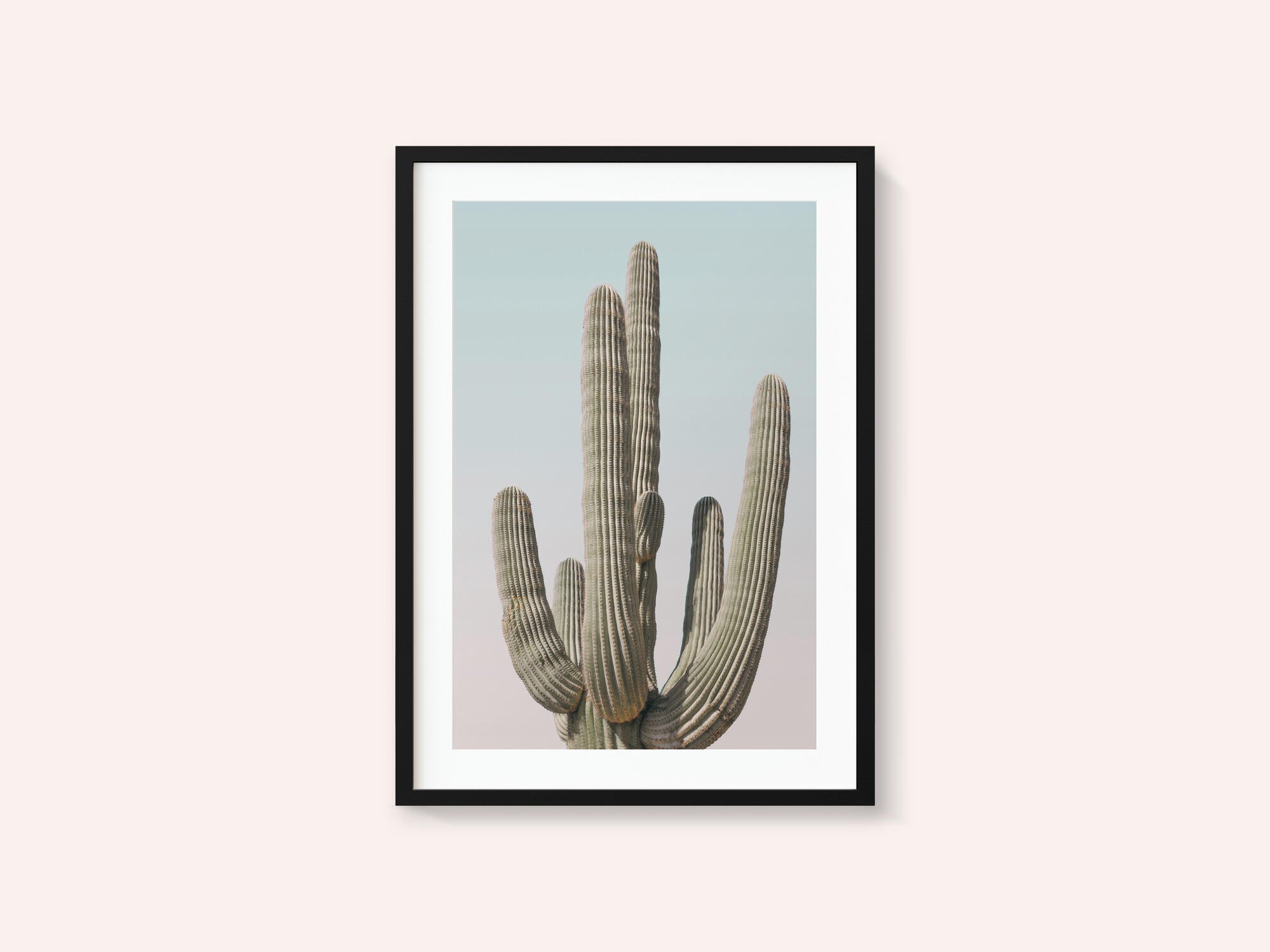 Saguaro
