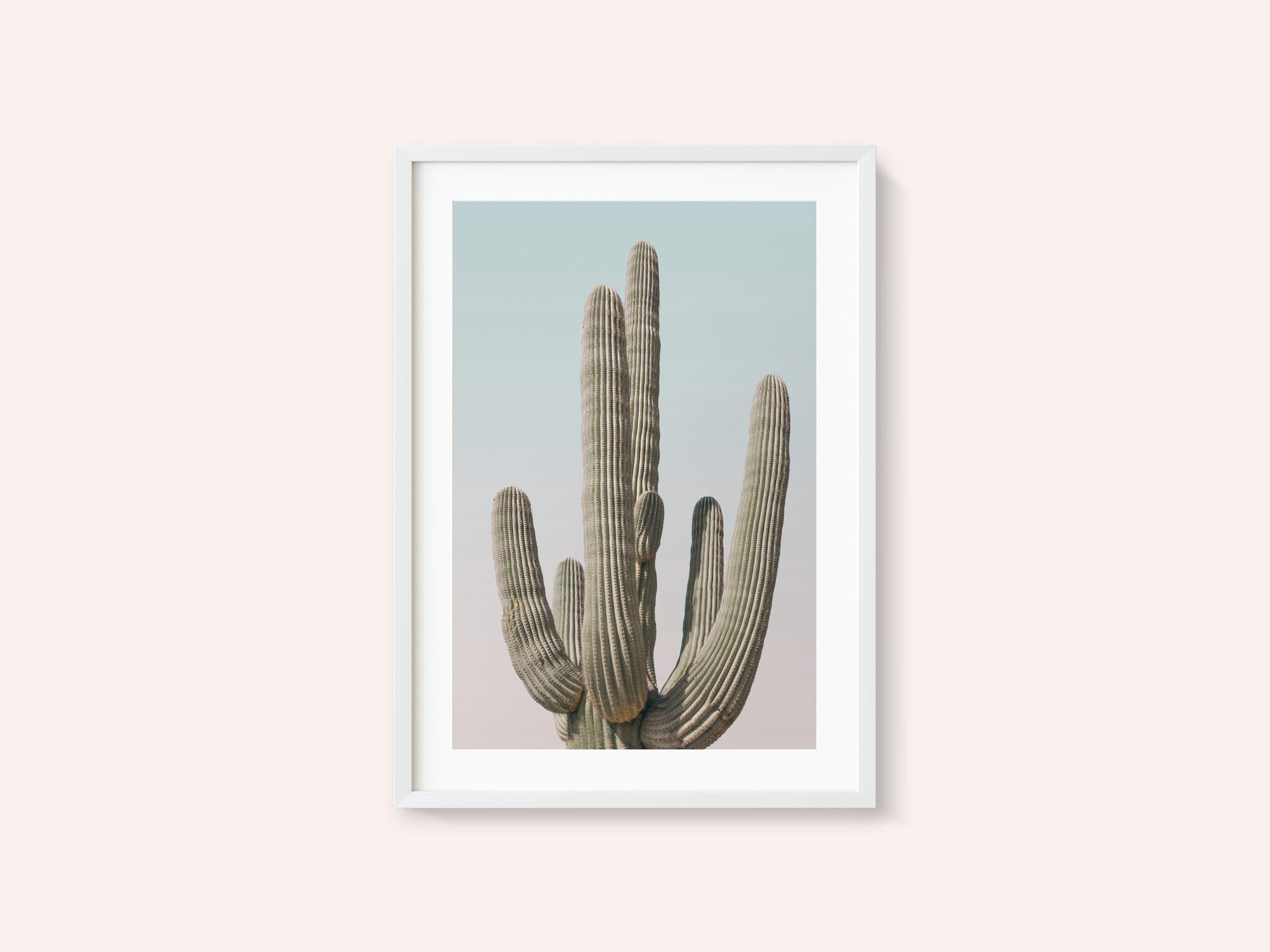 Saguaro