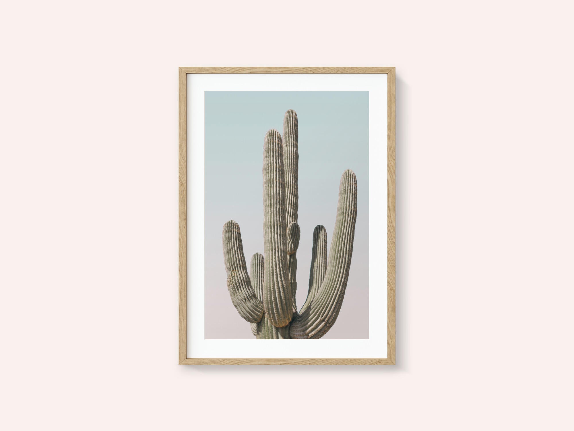Saguaro