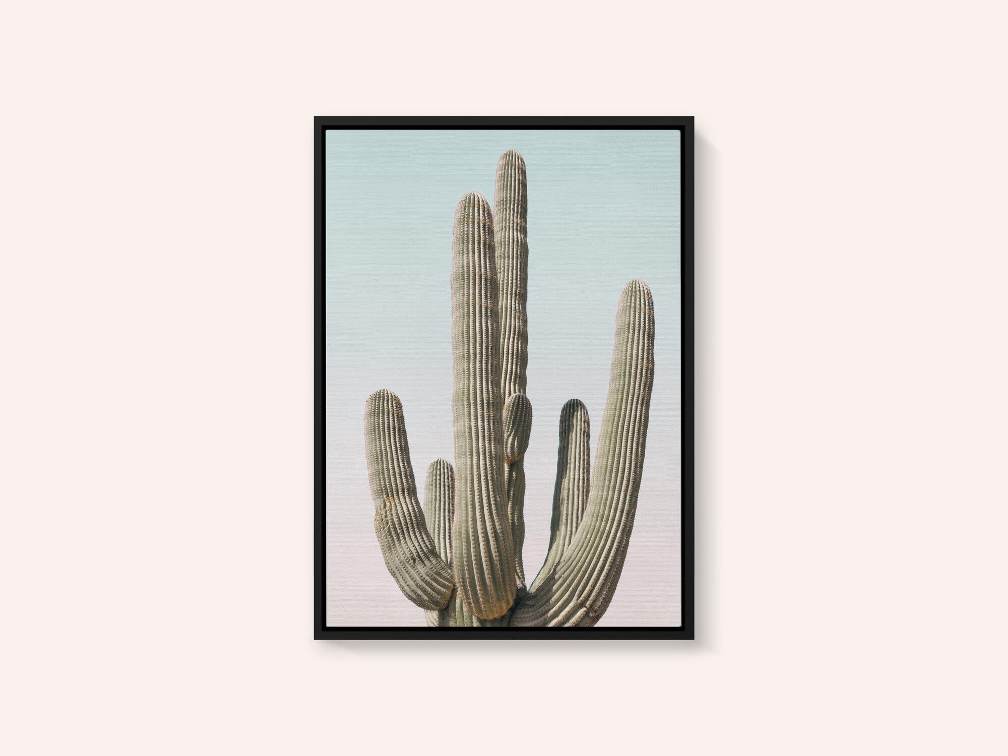 Saguaro
