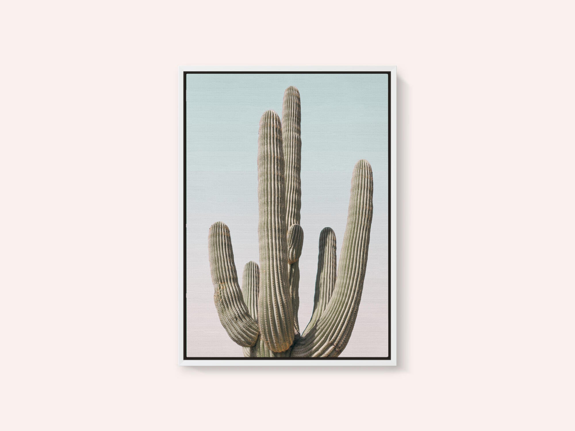 Saguaro