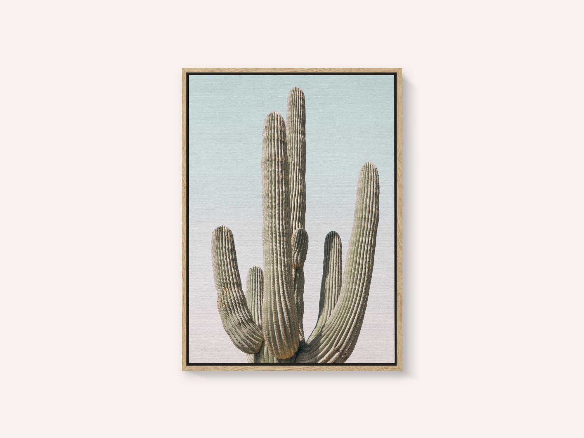 Saguaro