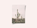 Pink Saguaro