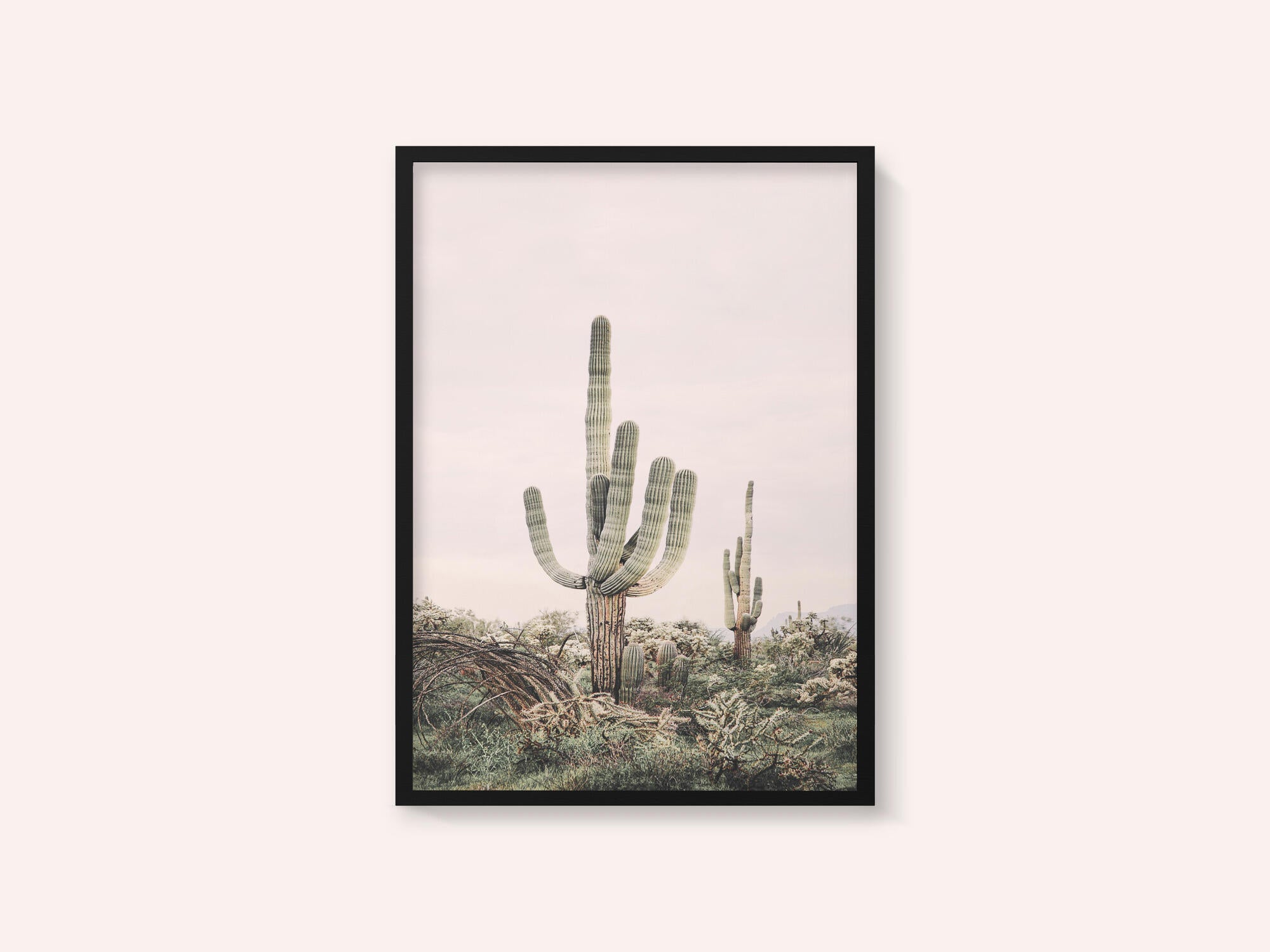 Pink Saguaro