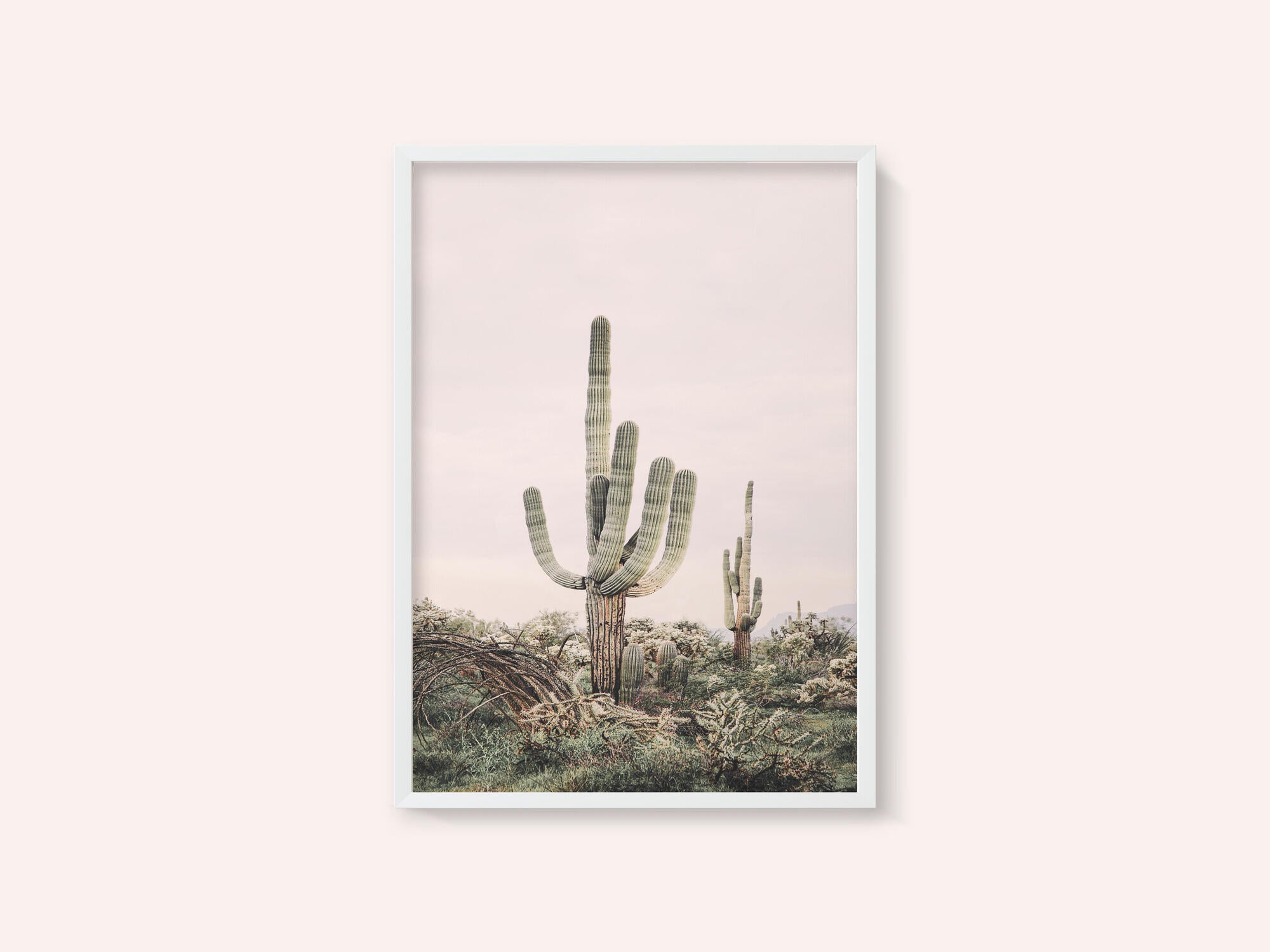 Pink Saguaro