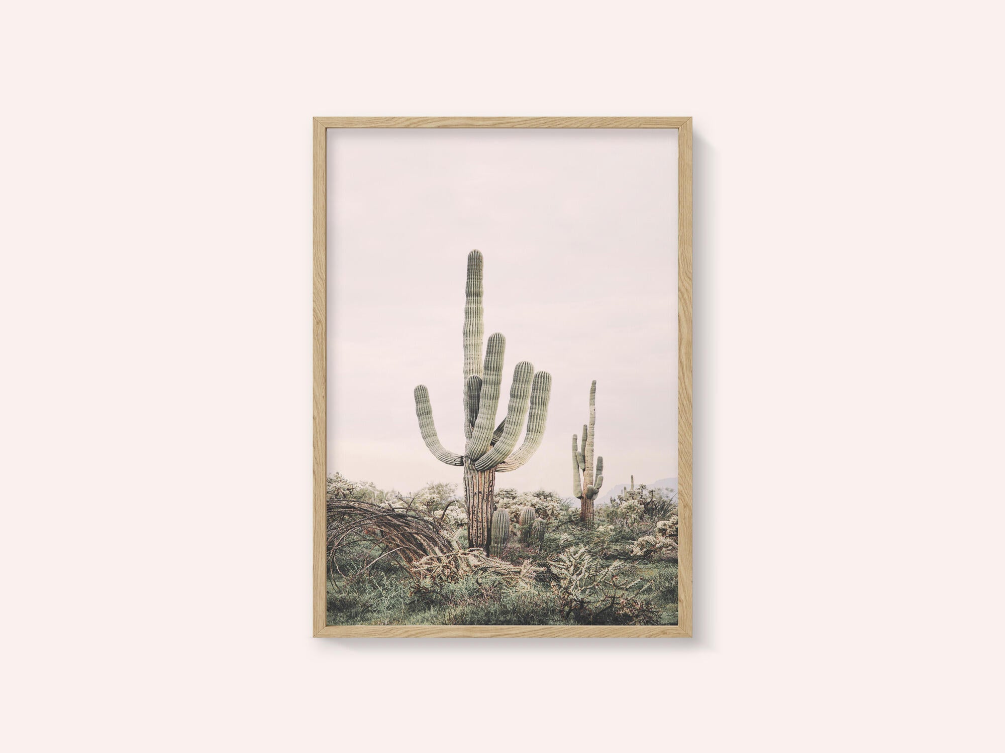 Pink Saguaro