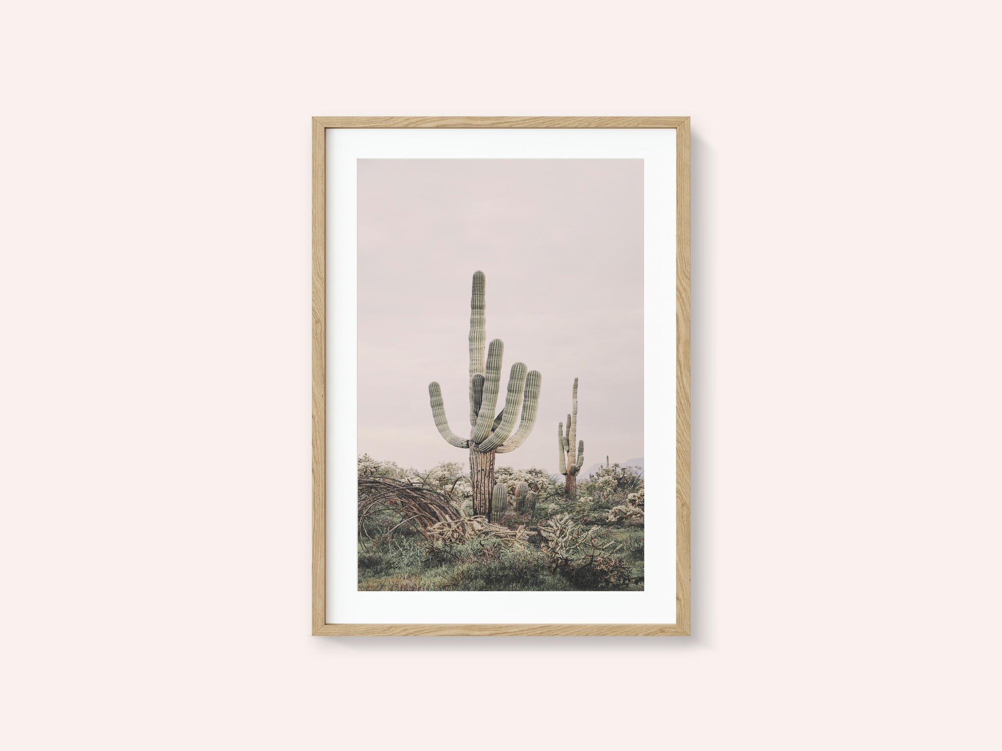Pink Saguaro