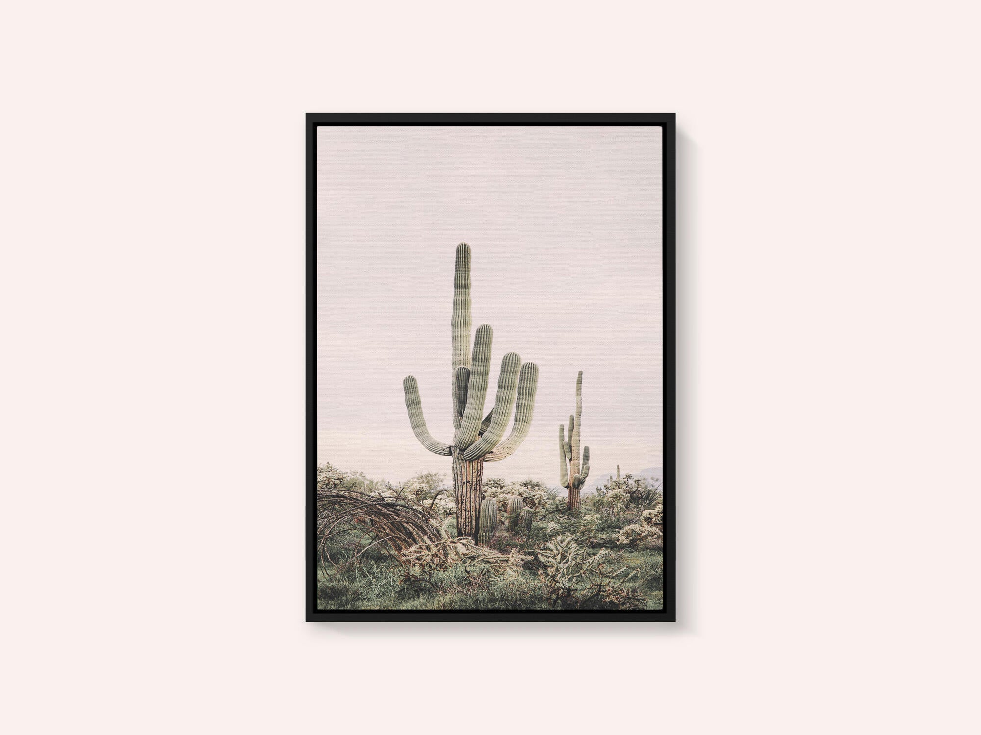 Pink Saguaro
