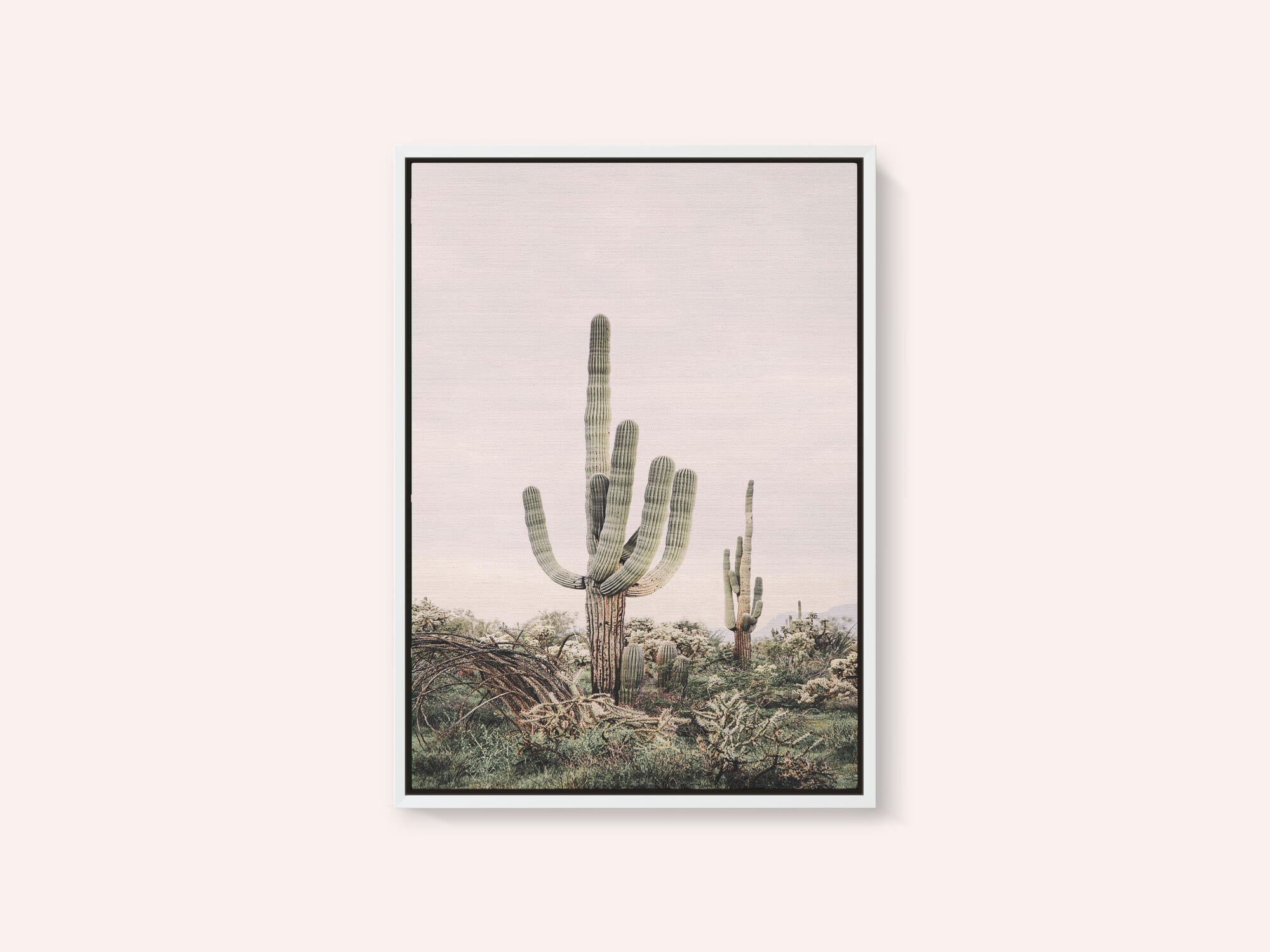 Pink Saguaro