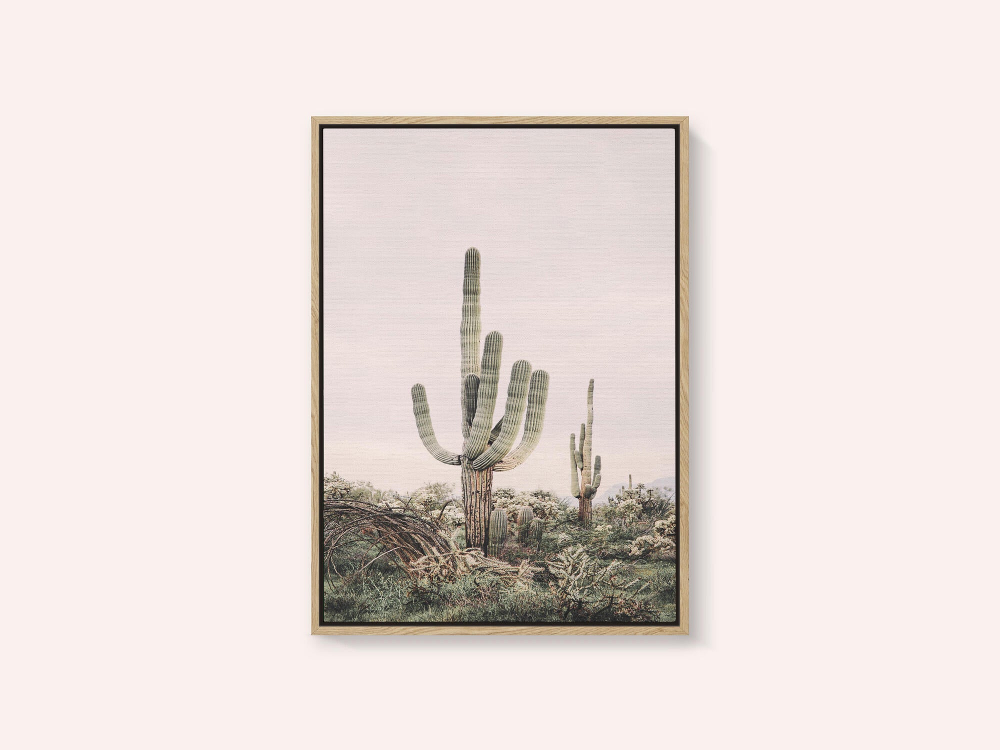 Pink Saguaro