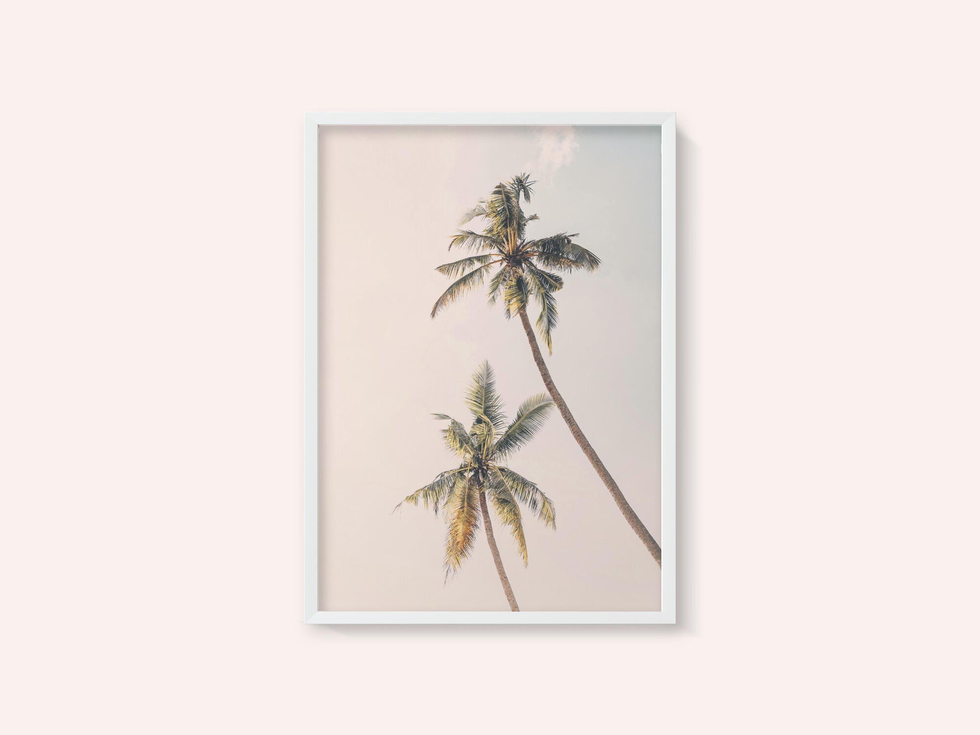 Tropical Palms
