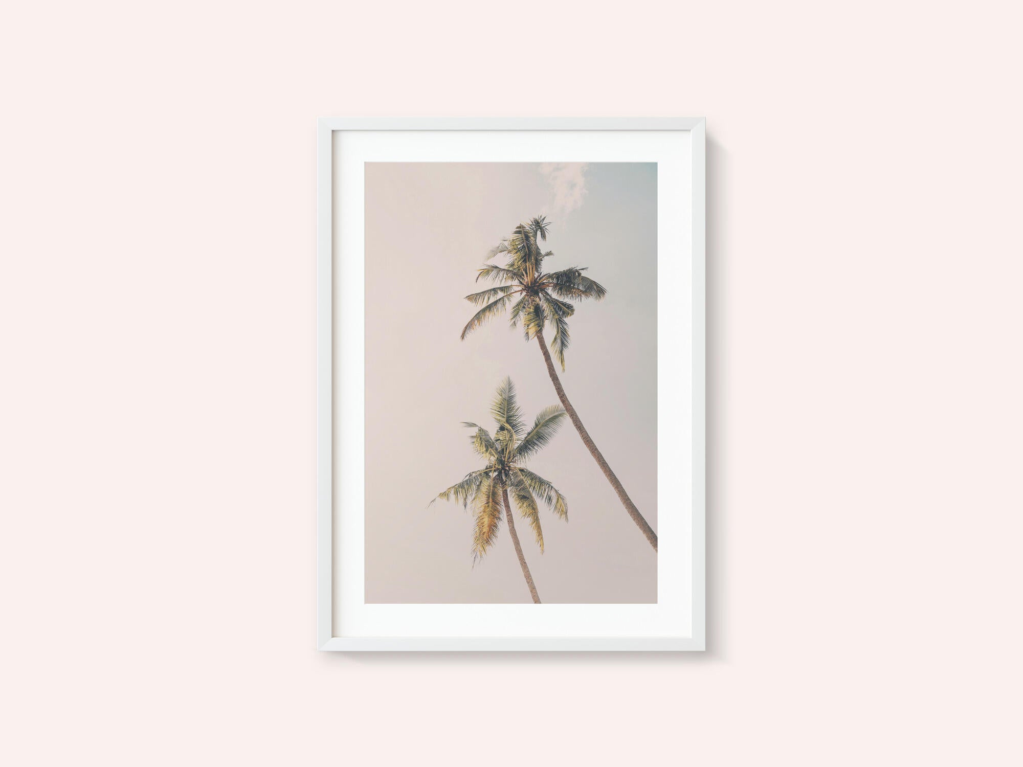 Tropical Palms