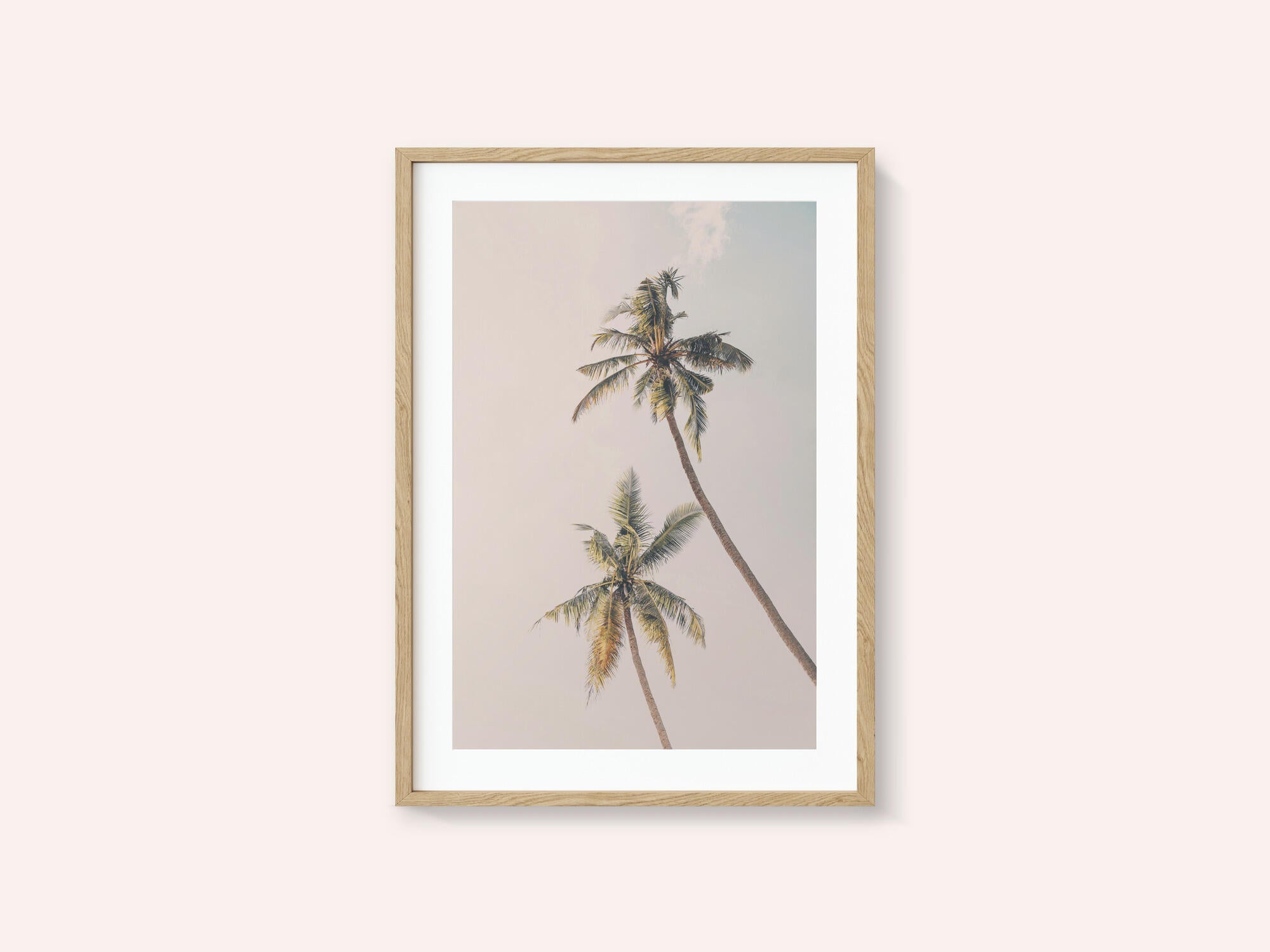 Tropical Palms