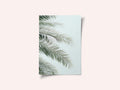Blue Palms