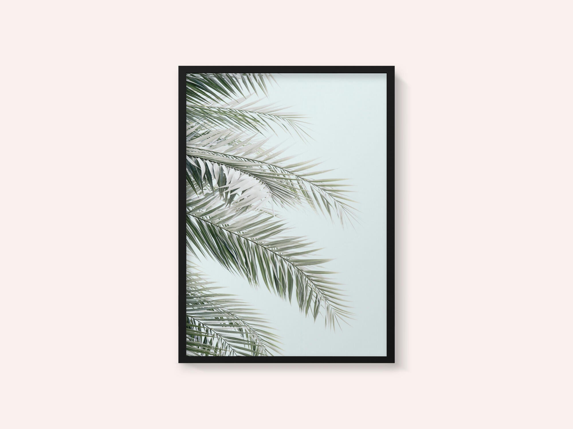 Blue Palms