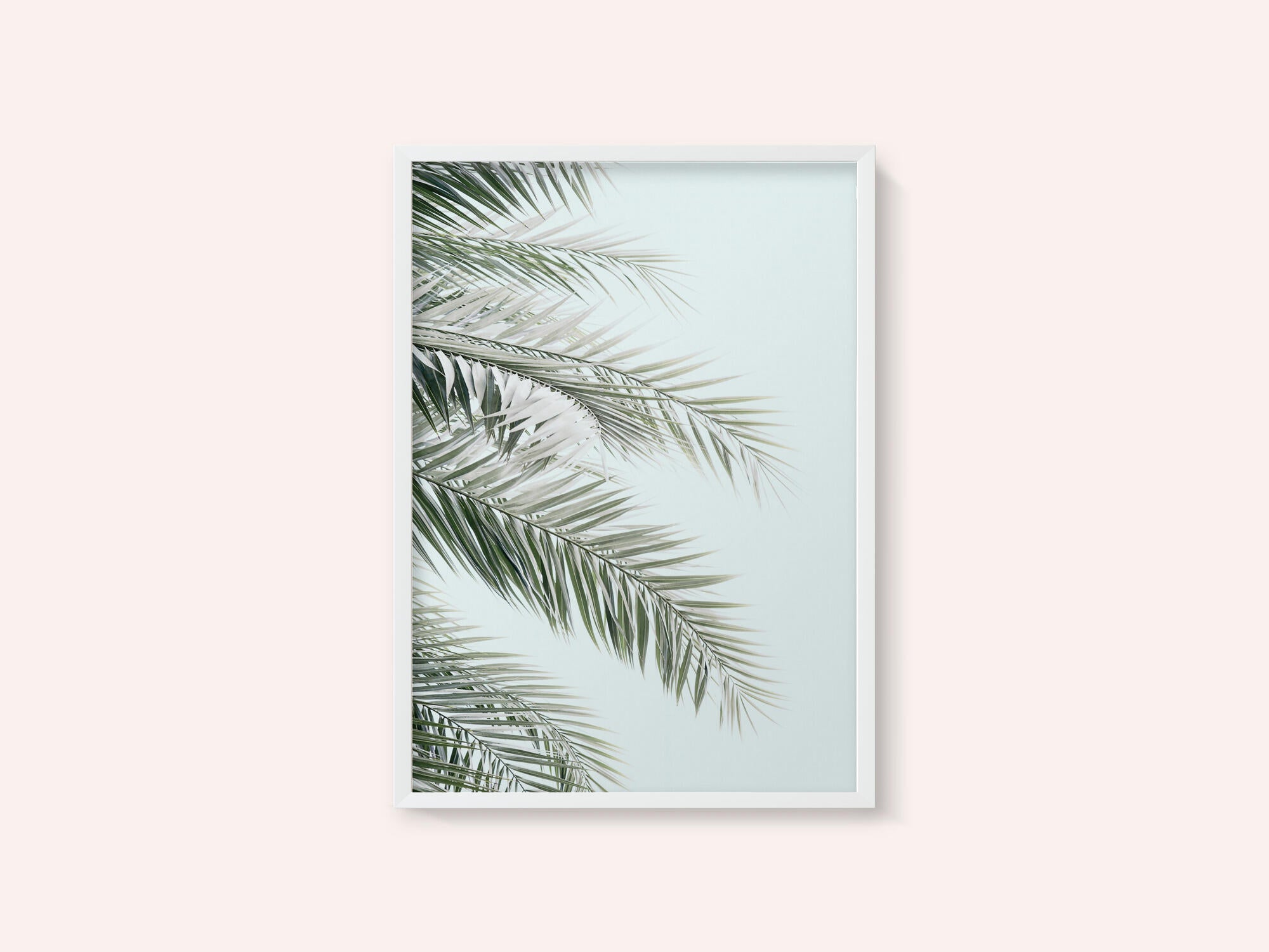 Blue Palms