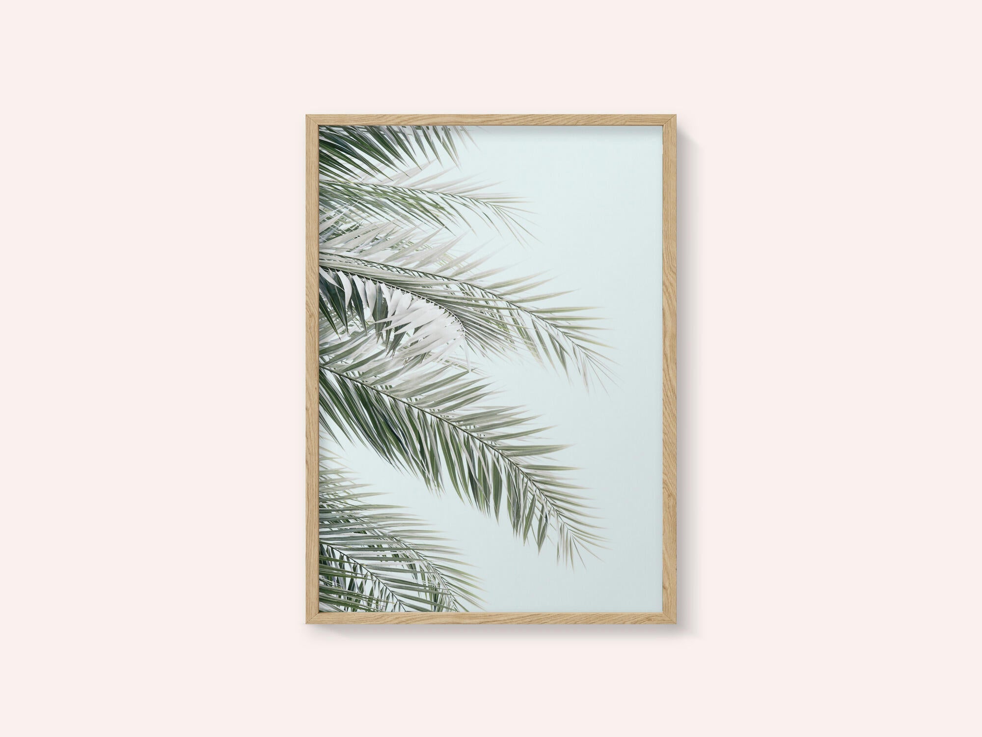 Blue Palms